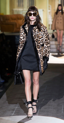 Dsquared2