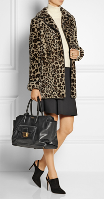 Imprumeu leopard