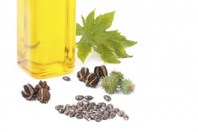 Ulei De Ricin Pentru Unghii Divahair Ro