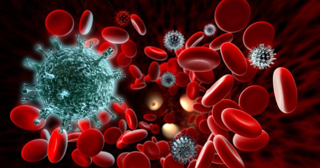 limfocite crescute-imagine celule roșii
