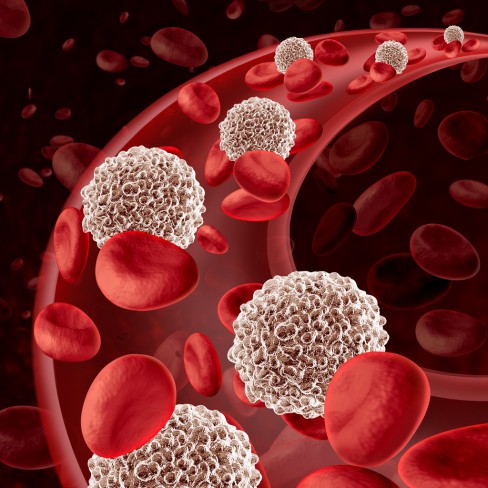 neutrofile scăzute-celule albe ale sangelui