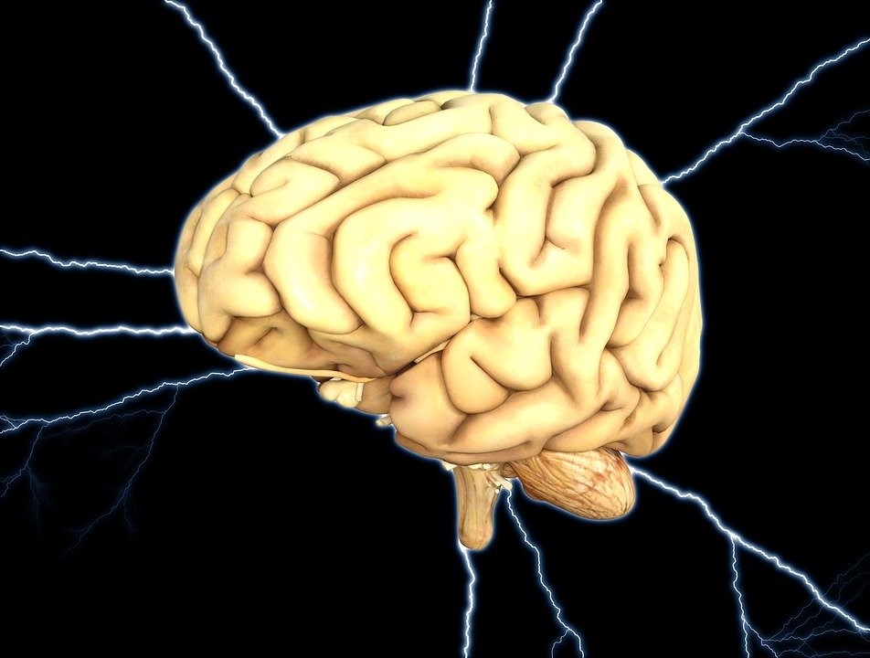 neuronii oglindă-creier și impulsuri electrice