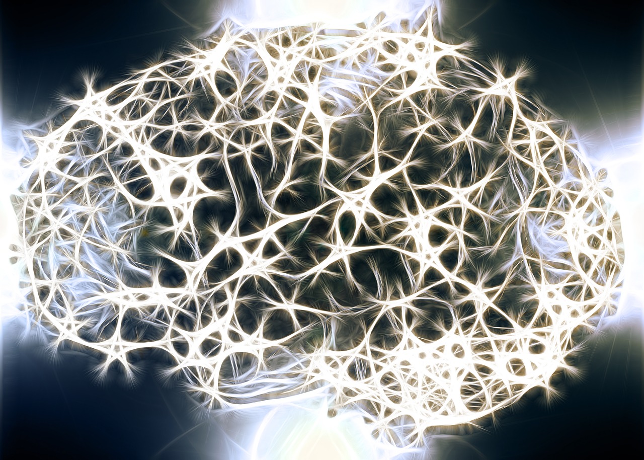 neuronii oglindă-imagine cu neuronii creierului