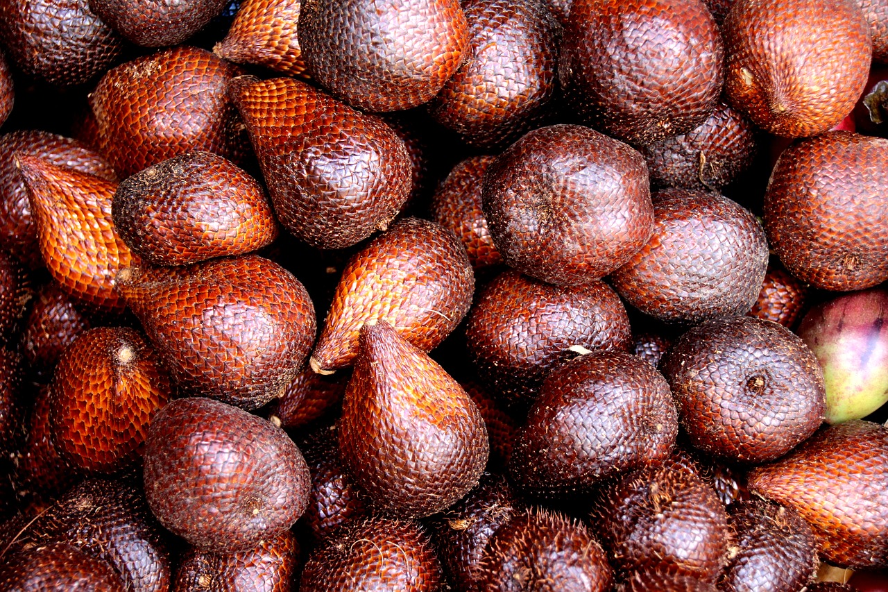 lista-fructe-exotice-Salak