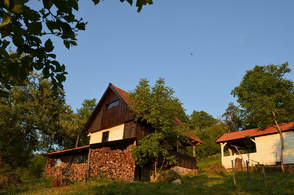 cele-mai-frumoase-sate-din-apuseni-Carpathian Cottage