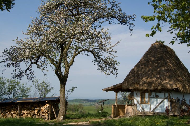 cele-mai-frumoase-sate-din-apuseni-Traditional-Casa