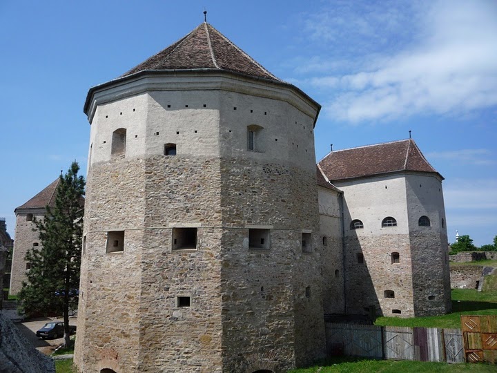 vacante-de-vis-in-romania-Cetatea-Fagaras