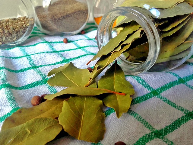 Frunze de dafin uscate într-un borcan