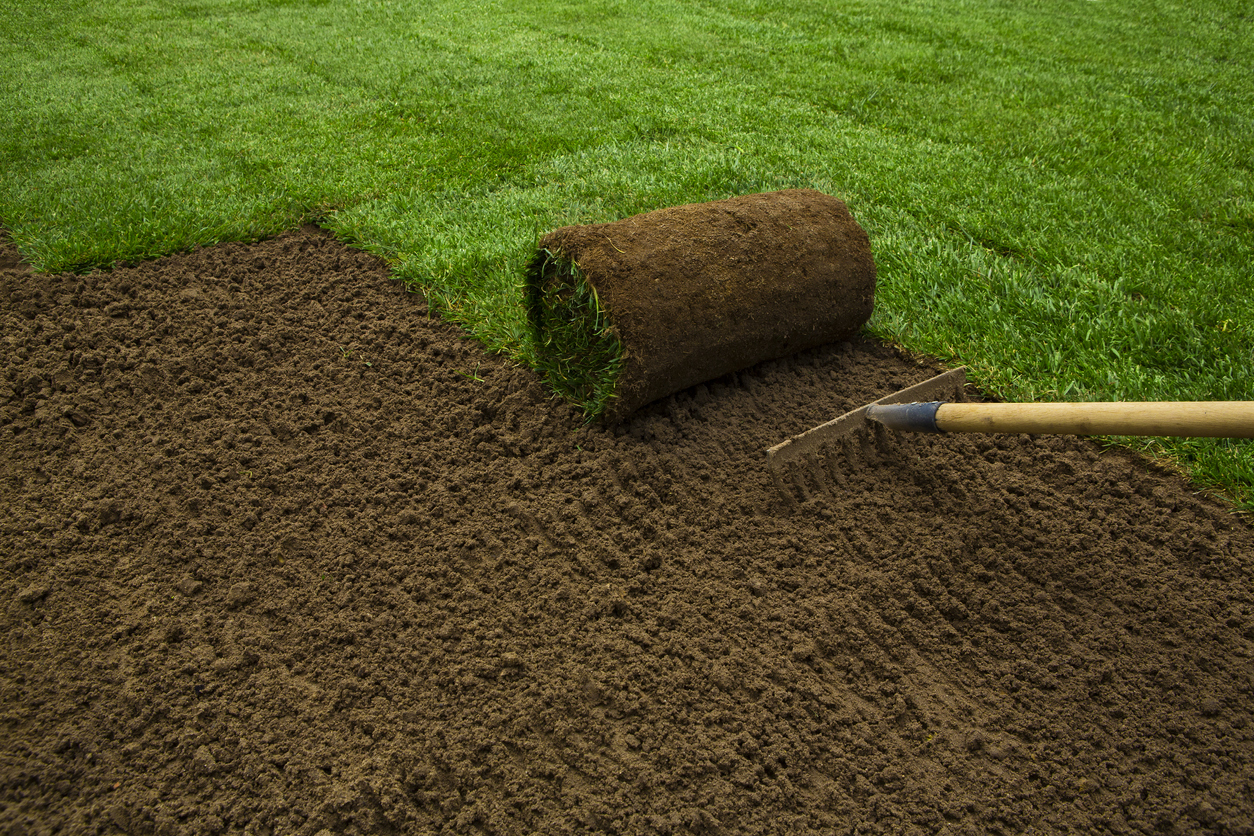 Greblarea unui teren și plantarea gazonului de tip rulou