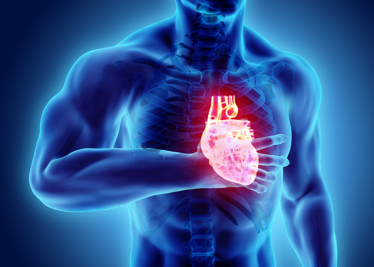 Ilustrație 3d cu inima umană