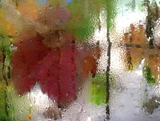 Frunze de toamnă văzute printr-un geam ud