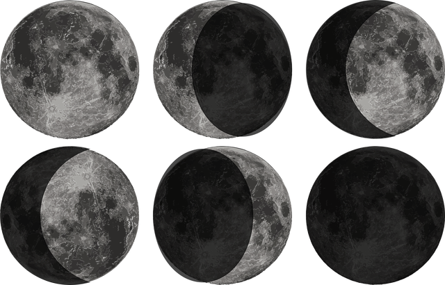 Imagine cu Fazele Lunii așa cum se vede de pe Pământ
