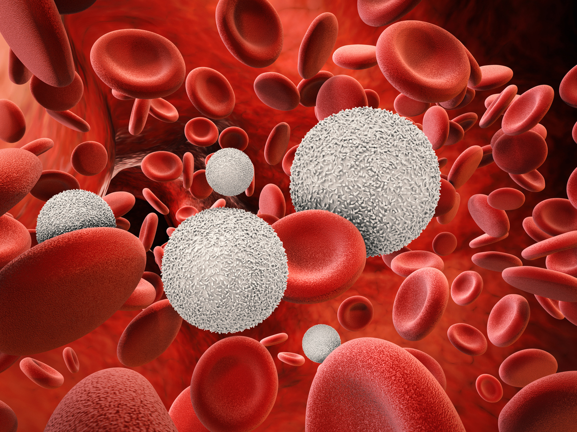 Imagine cu celule roșii și albe din sânge