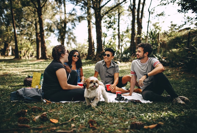 Prieteni la un picnic