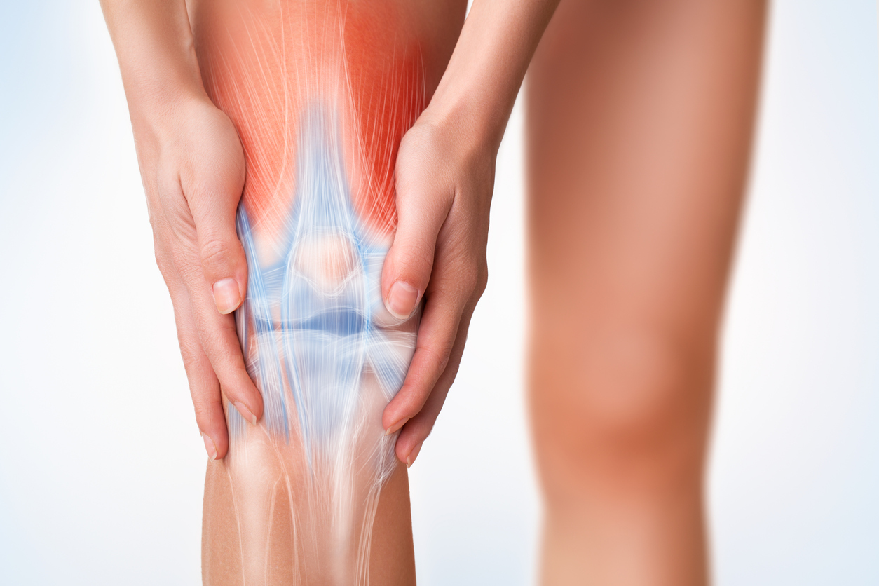 Imagine cu mușchii și ligamentele genunchiului 