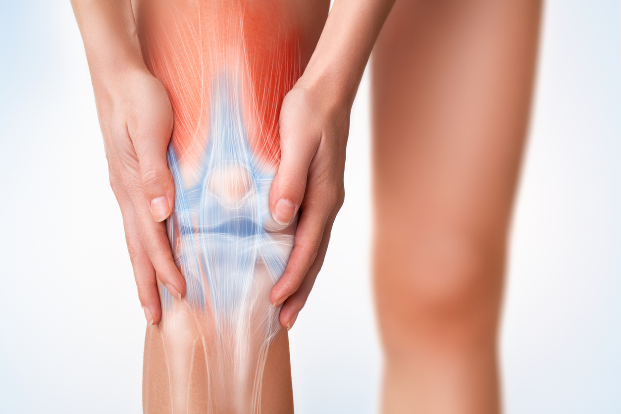 Imagine cu mușchii și ligamentele genunchiului
