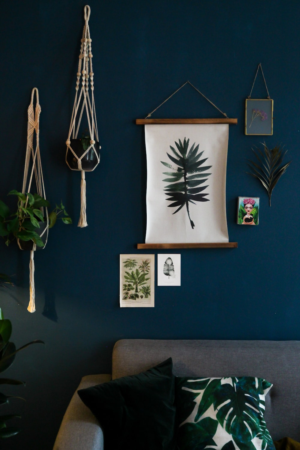 Design interior-perete albastru cu tablouri și plante agățate