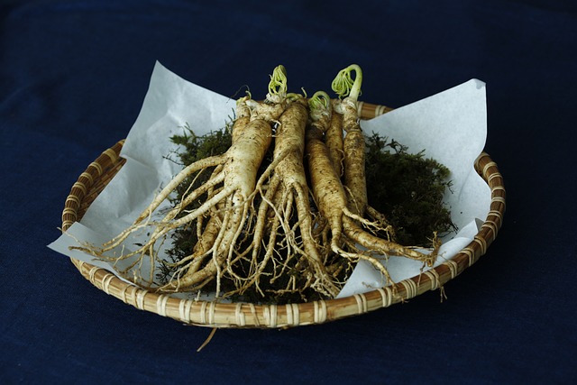Rădăcină de gingseng