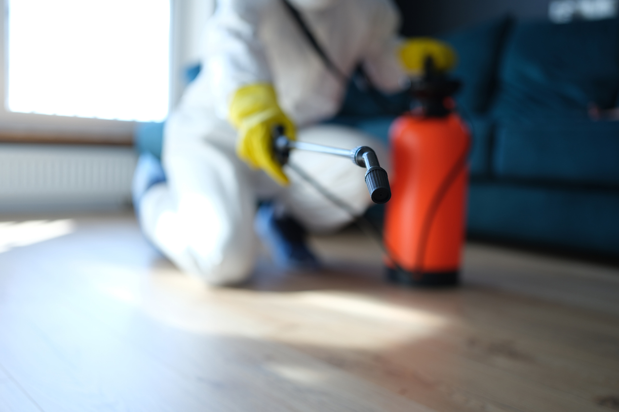 Exterminator de insecte