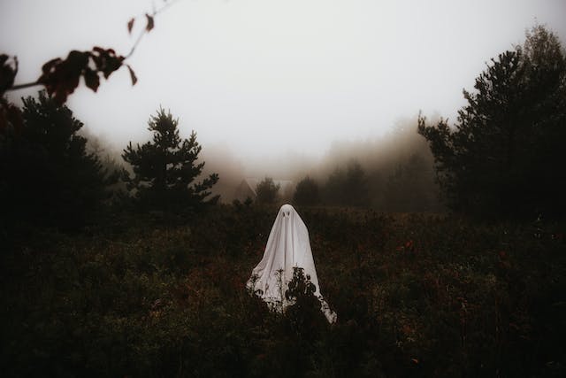 Persoană costumată în fantomă