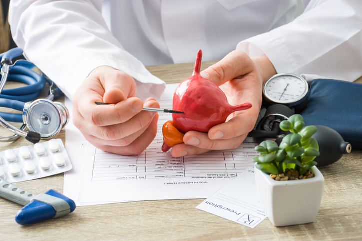Doctor care arată cum funcționează vezica urinară 