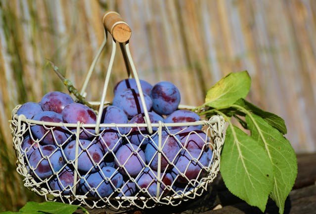 Prune într-un coș