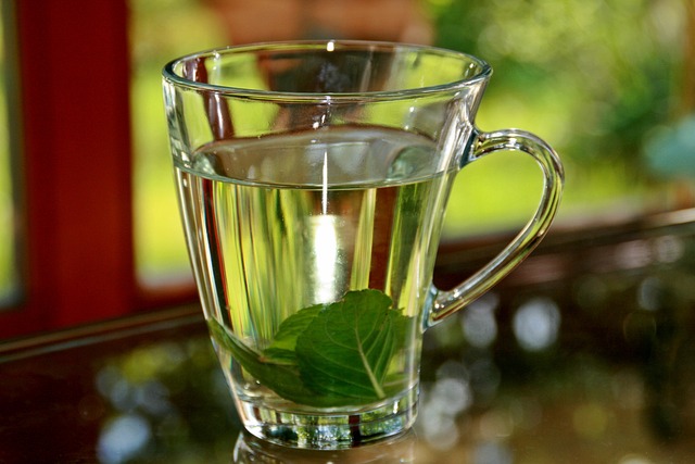 Cana de ceai cu frunze de menta