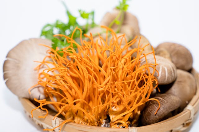 Ciuperci cordyceps