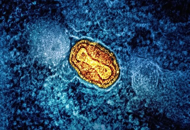 Mitocondrii la microscop