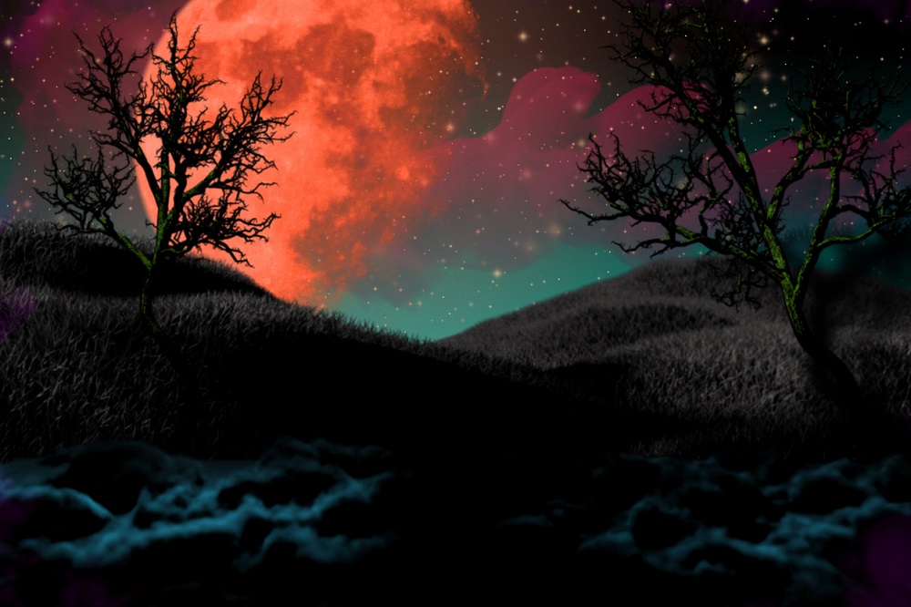Peisaj nocturn - ilustrație Luna Roz, cer înstelat și copaci fără frunze