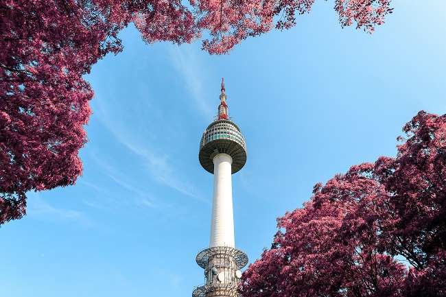 Imagine cu N Seoul Tower, înconjurat de copaci înfloriți.