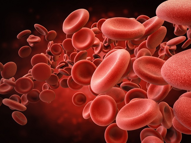 Fotografie care ilustrează celulele roșii din sânge.