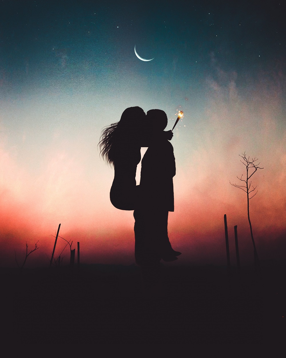 Ilustrație cu siluetele unor parteneri care se sărută noaptea.