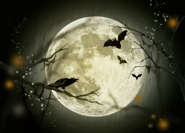 Ilustrație plină de mister cu Luna Plină văzută printre crengile copacilor pe care își fac veacul diverse vietăți precum ciorile și liliecii.