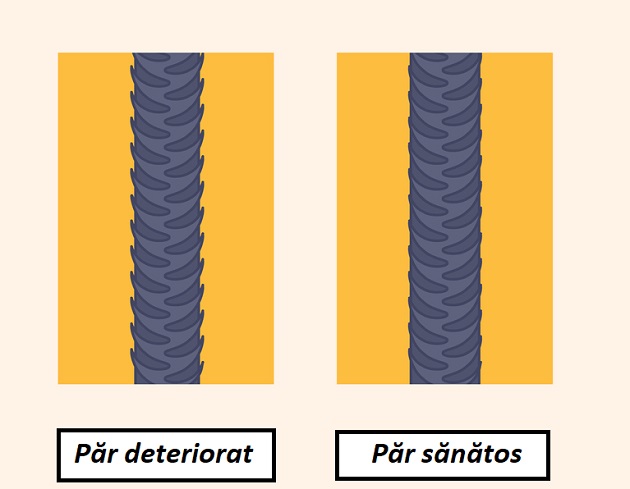 Ilustrație păr deteriorat vs. nedeteriorat