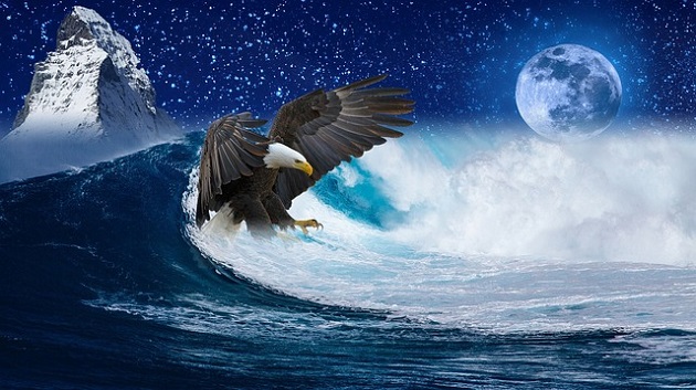 Peisaj nocturn cu un vultur care zboară deasupra mării înghețate, în timp ce Luna Plină strălucește pe cer.