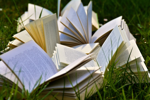 Cărți deschise, așezate în iarbă