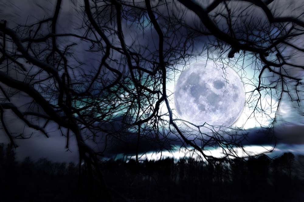 Lună Plină strălucitoare, zărită printre crengile copacilor, în timp ce se reflectă într-un lac