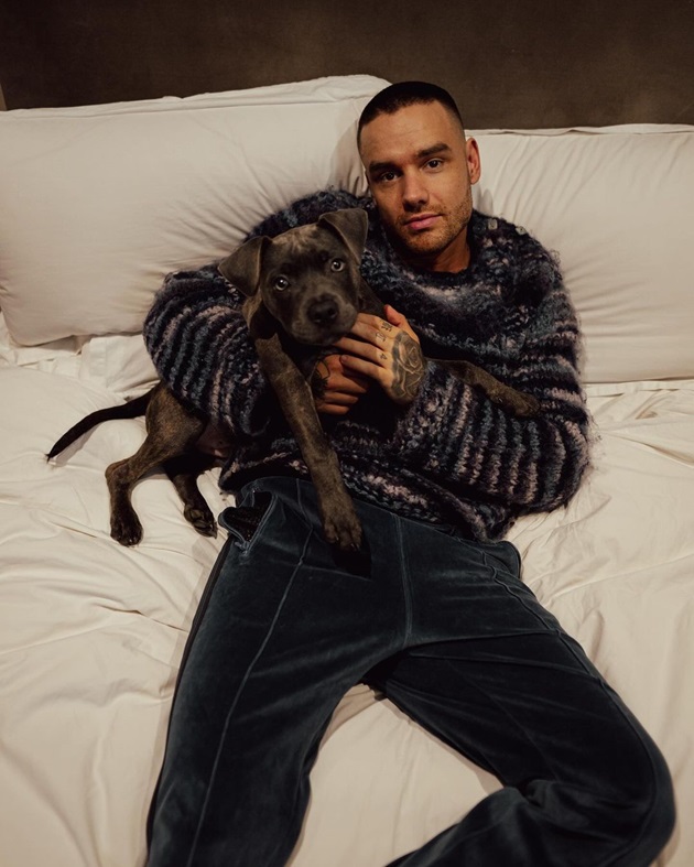 Liam Payne stând pe canapea cu un cățel în brațe