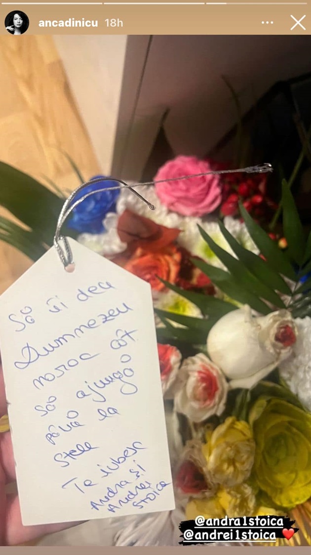 Florile primite de Anca Dinicu după ce a născut de la campionul mondial SUPERKOMBAT Andrei Stoica și soția sa, Andra