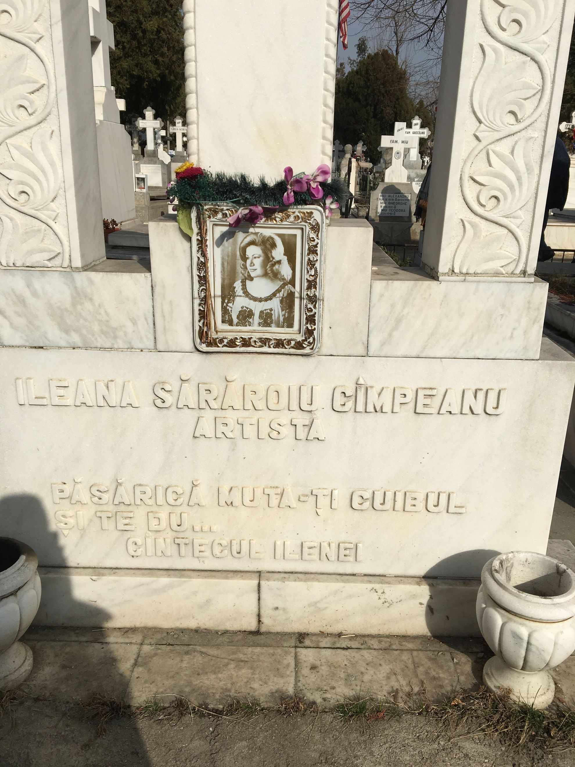 Mormântul Ileanei Sărăroiu, pe care este trecut și numele lui Mircea Câmpeanu