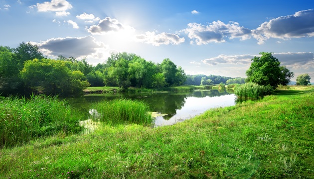 Peisaj cu lac înconjurat de verdeață, luminat de razele soarelui