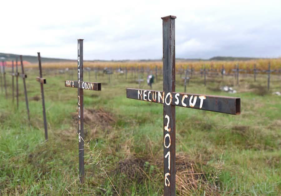 Cimitirul improvizat în câmp, unde erau îngropați bătrânii și bolnavii decedați în azilele lui Viorel Pașca