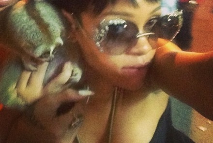 rihanna slow loris