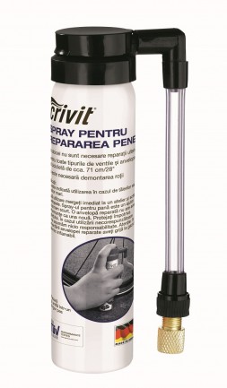 Spray pentru repararea unei pene- lidl