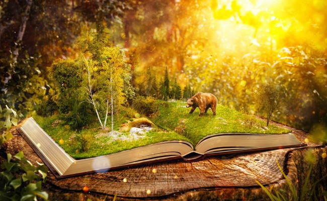 Ilustratie-fantezie: urs mrgand pe o carte acoperita cu muschi, in padure