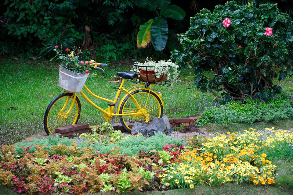 bicicleta impodobita cu flori