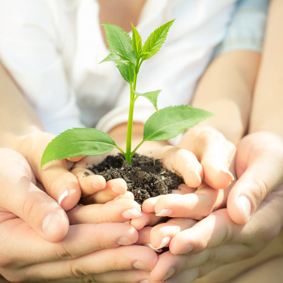 copil care ingriejste plante