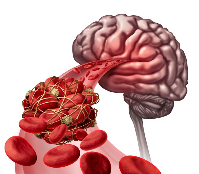 colesterol bunpentru functionarea creierului