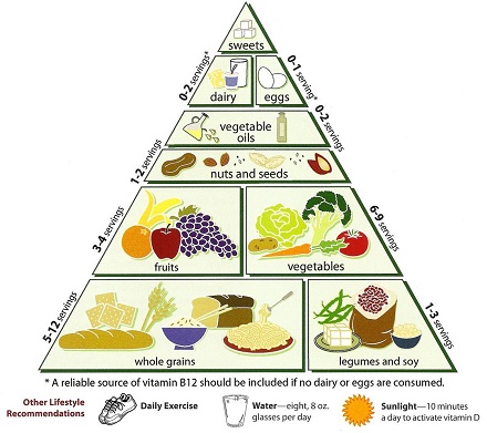 piramida alimentara pentru vegetarieni